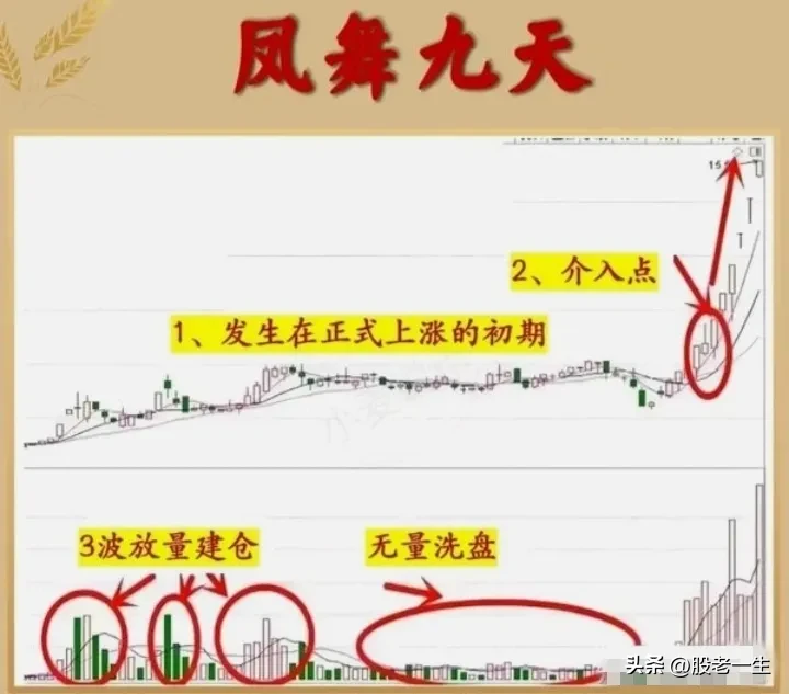 “凤舞九天”