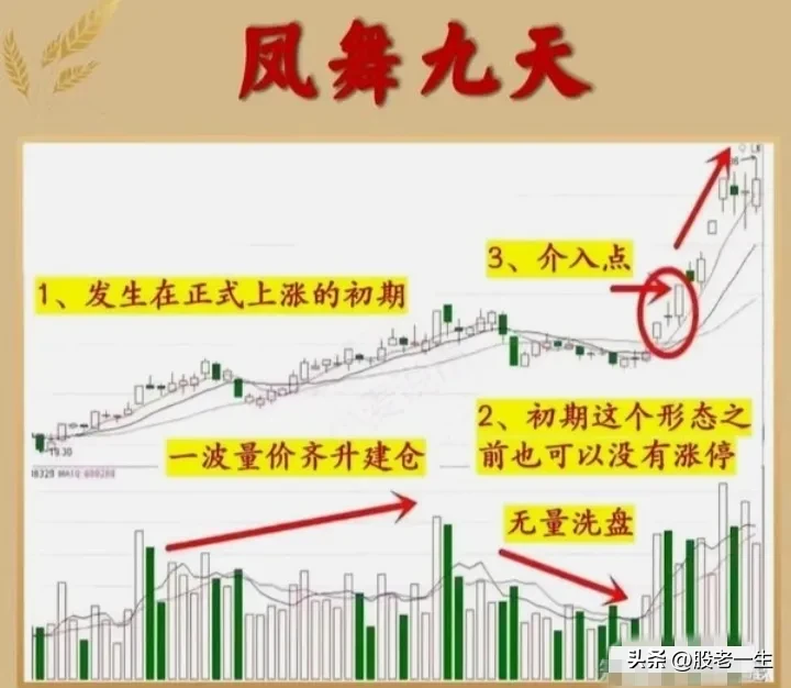 “凤舞九天”