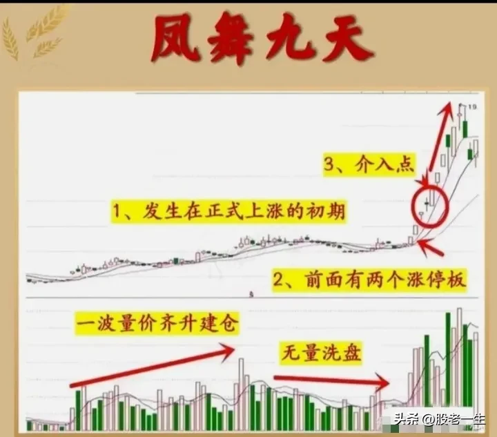 “凤舞九天”