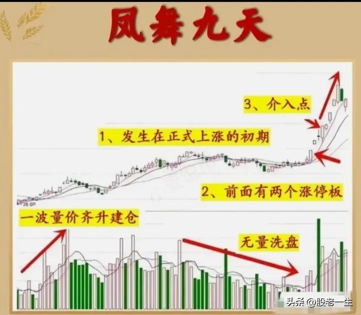 “凤舞九天”