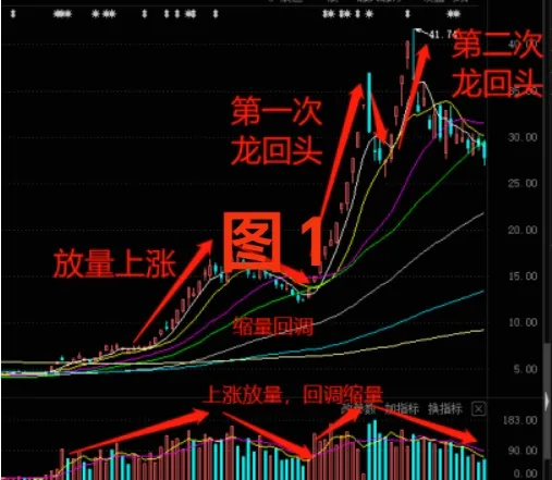 赢在龙头