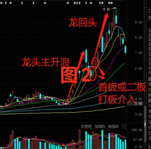 赢在龙头