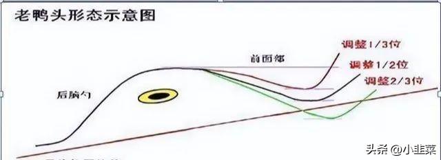 中国股市假如你的股票突然涨停了该持有还是抛出?