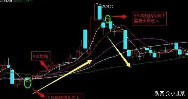 中国股市假如你的股票突然涨停了该持有还是抛出?