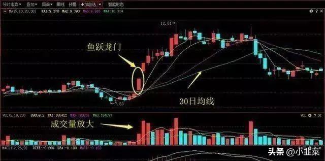 中国股市假如你的股票突然涨停了该持有还是抛出?