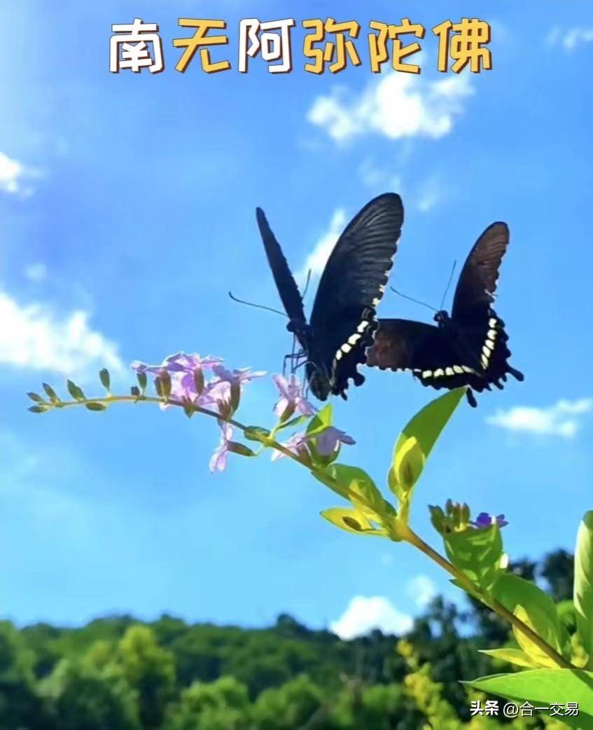 老交易员洞察的真相之七格局太小怎么能赚大钱？