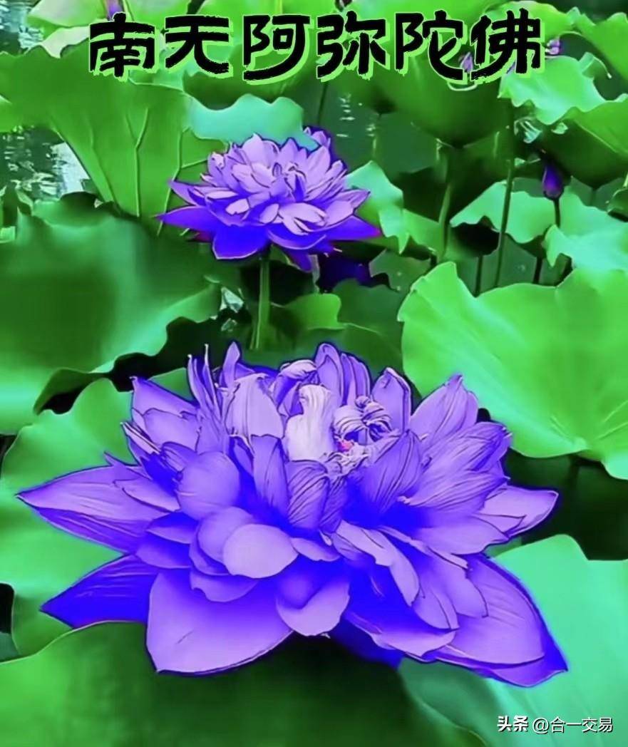 一个老交易员的洞察之十交易成功的必走之路