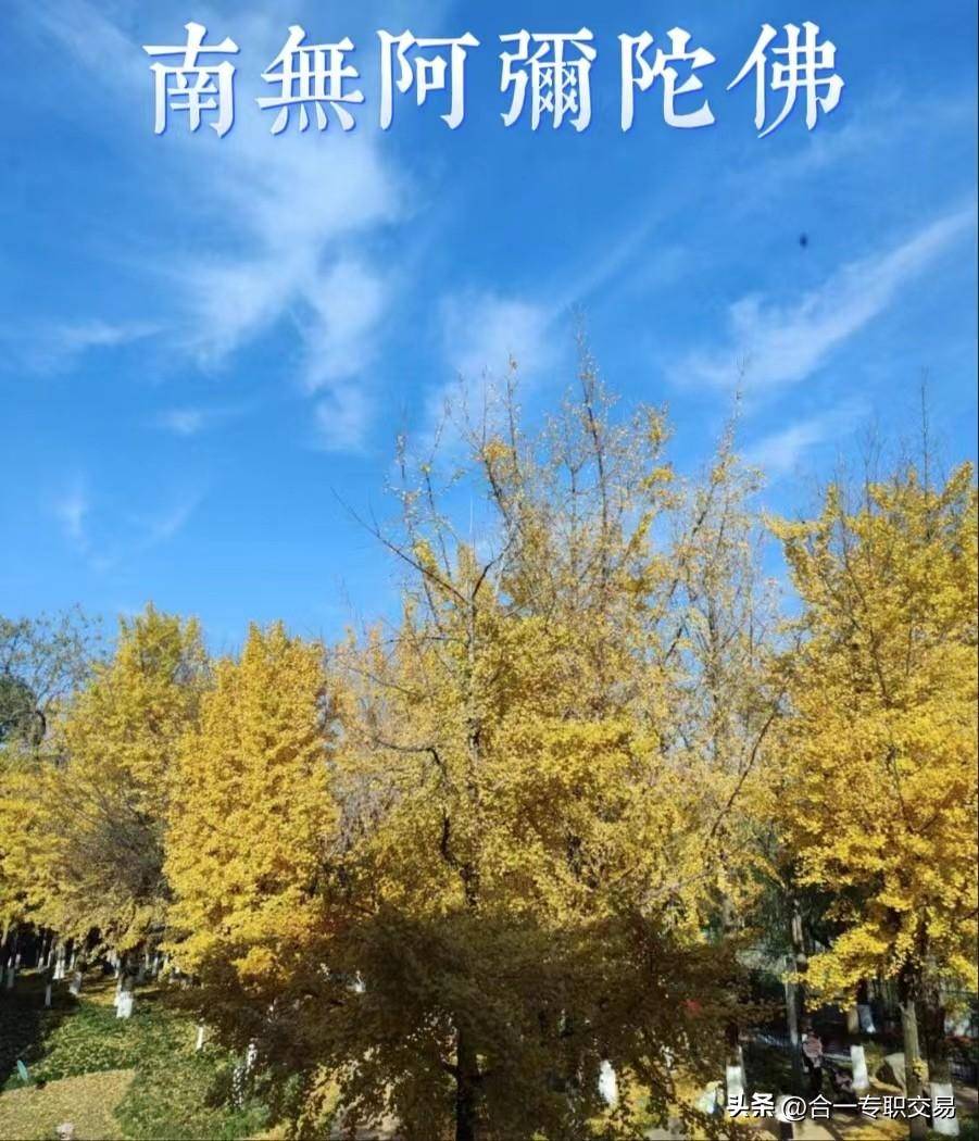 如能做到这10点何愁期货交易不成功？