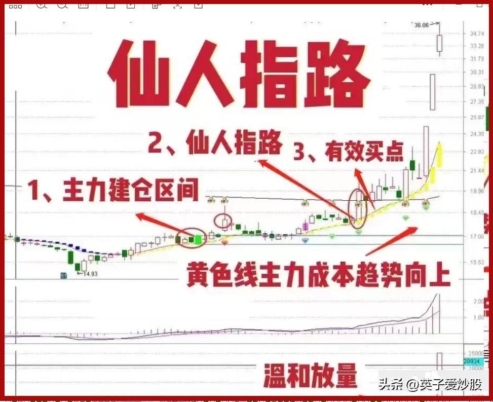 师傅的仙人指路让我在2023年股市扭亏为盈