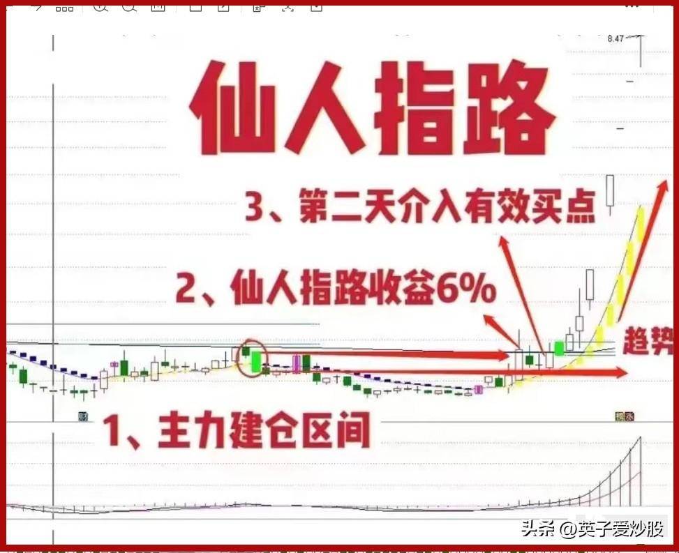 师傅的仙人指路让我在2023年股市扭亏为盈