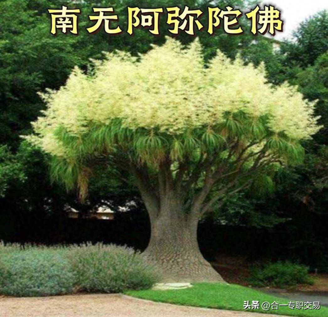 股票期货交易具备了这两点何愁不赚钱?