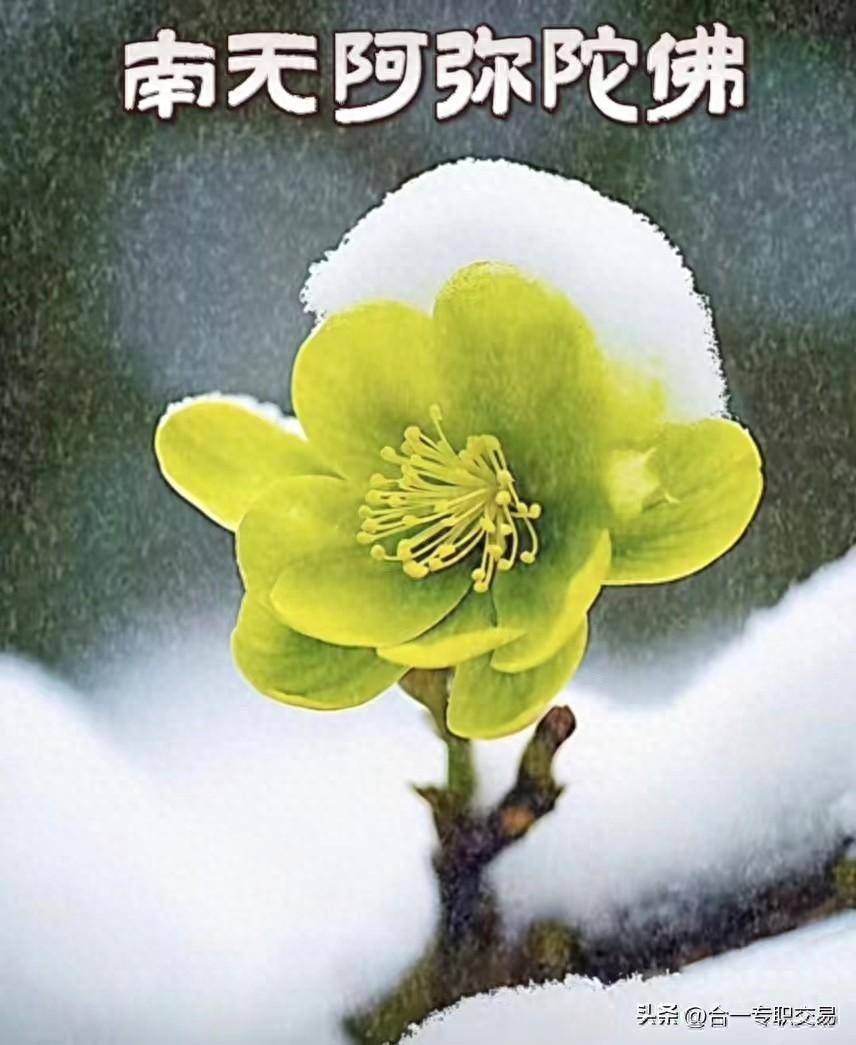 做到这几条交易者的心态就不会崩了