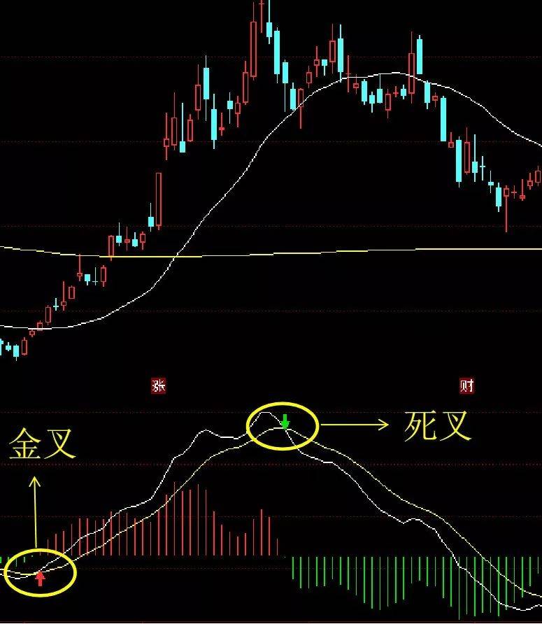 趋势第一指标MACD