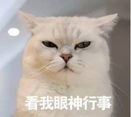3000点之下!如何看待中国的现状?