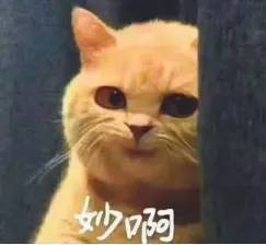 3000点之下!如何看待中国的现状?