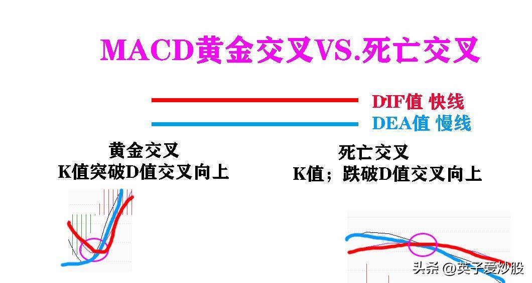 新手炒股的成长
