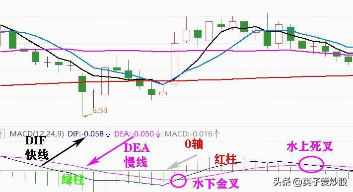 新手炒股的成长