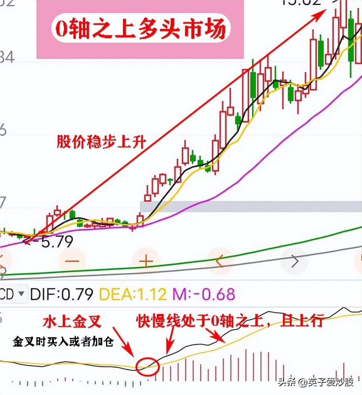 新手炒股的成长
