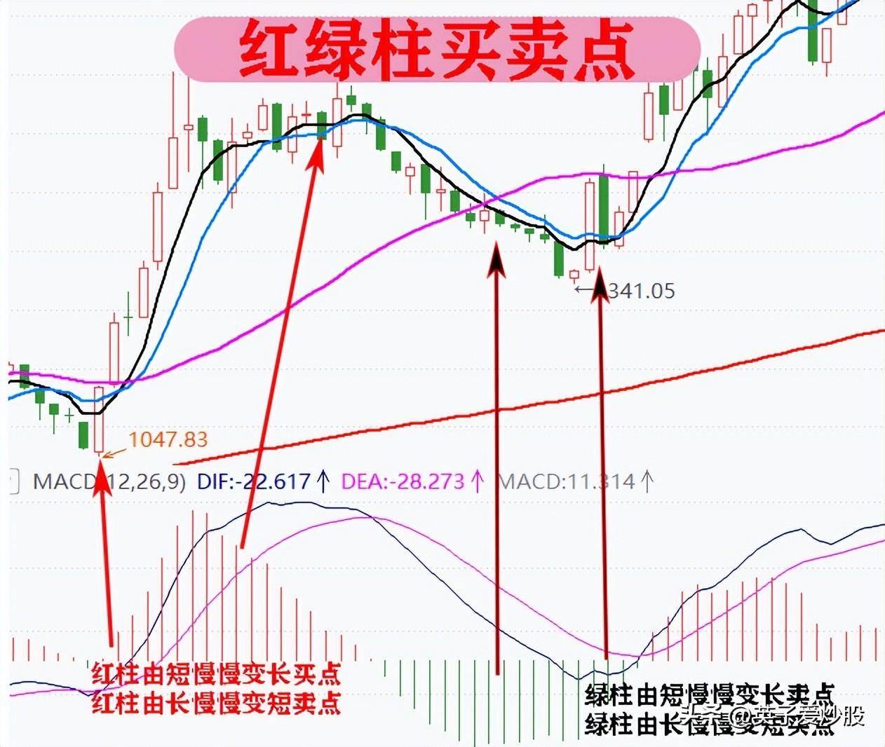 新手炒股的成长