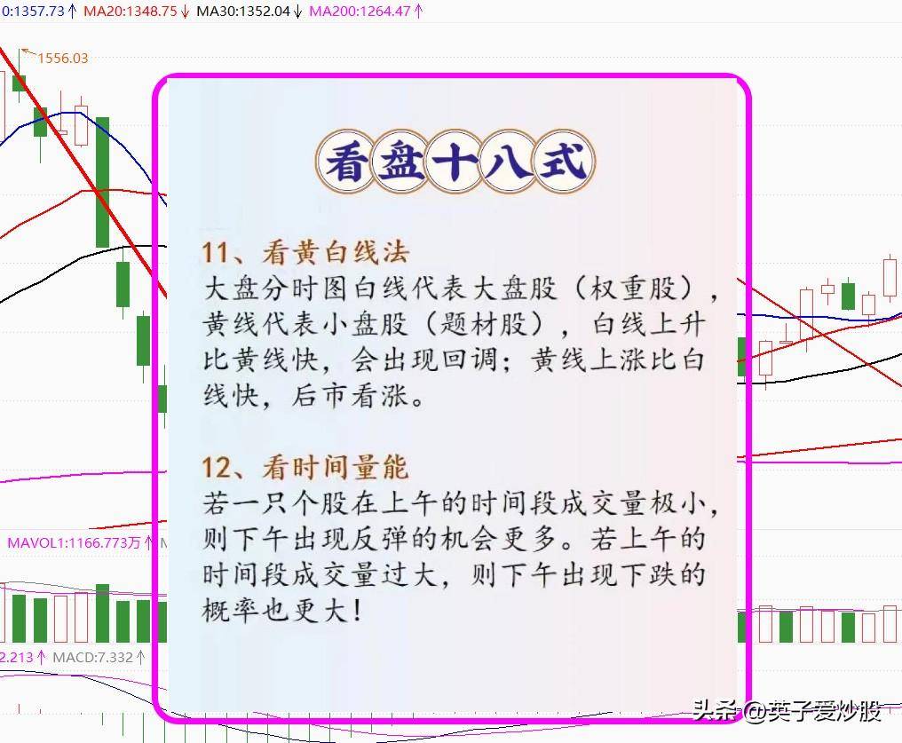 股市风向标的秘密武器看盘18招