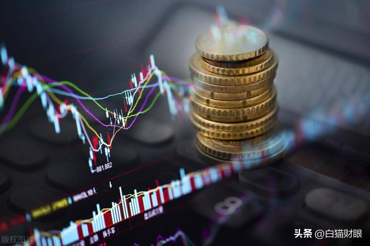 什么样的散户能在股市中赚钱。