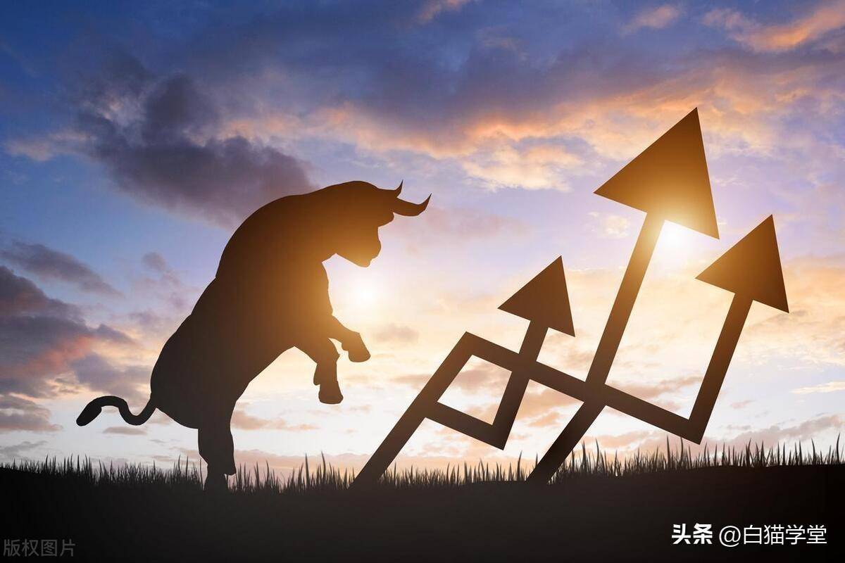 熊市里我是怎么消磨时间的？