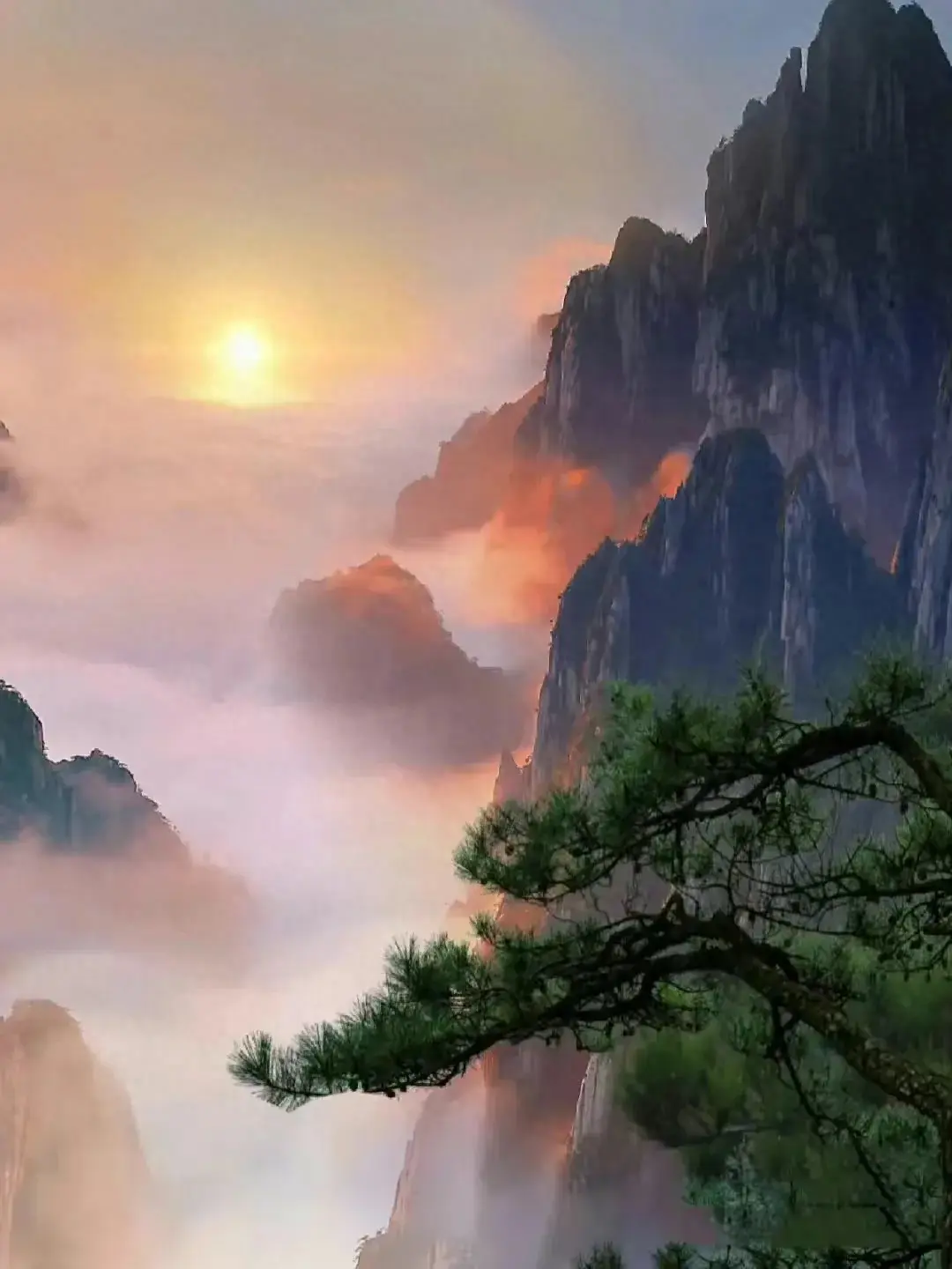 价值投资复利你的财富复利你的知识复利你的人生