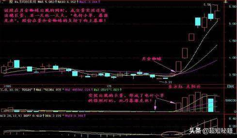 老股民总结金蜘蛛运用战法