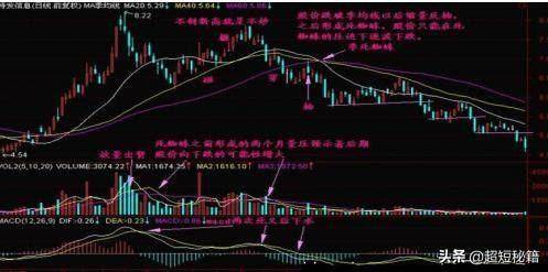 老股民总结金蜘蛛运用战法
