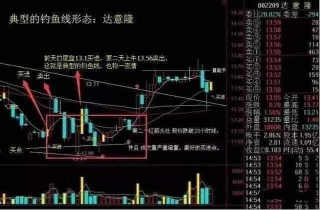 中国股市成熟投资者的心得钓鱼线一出不逃只有死路一条
