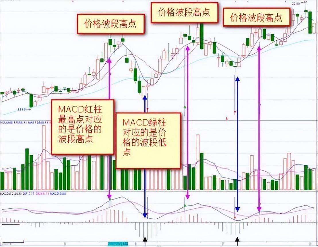 真正的操盘手有多可怕?56岁民间股神只有傻瓜才能在股市里挣钱