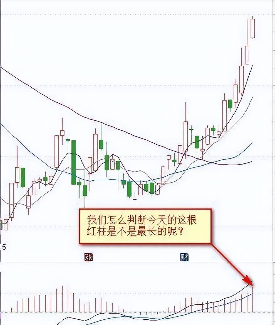 真正的操盘手有多可怕?56岁民间股神只有傻瓜才能在股市里挣钱