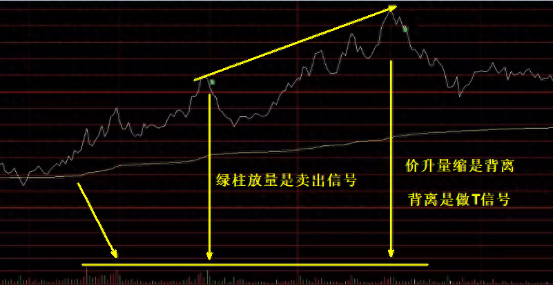 寻找标准K线和分时图