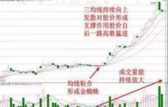 在A股什么样的散户最让庄家头疼?真正的炒股高手有什么特点呢