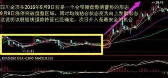 A股市场五万元入市如何投资性价比最高?值得散户深读