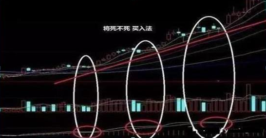 A股市场业绩为王这份中报业绩高增长名单请查收价值千金