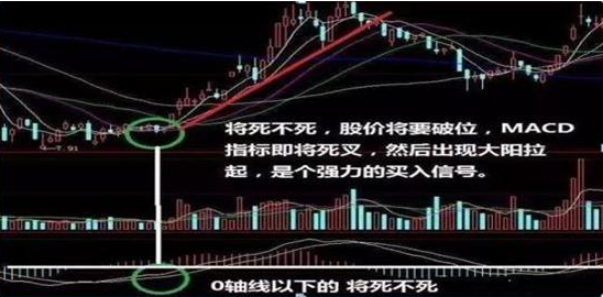 A股市场业绩为王这份中报业绩高增长名单请查收价值千金
