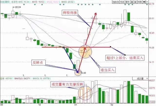 技术分析中最牛的底部形态今天就教你一招！