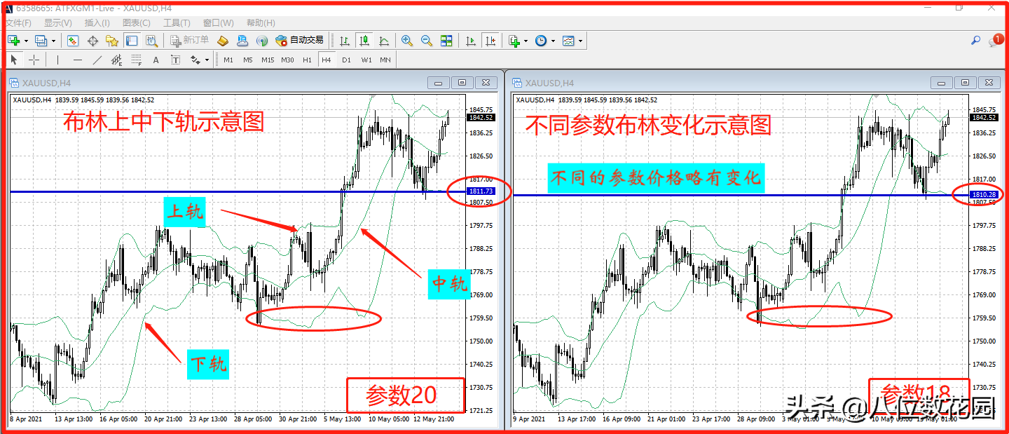 指标实战布林的使用方法