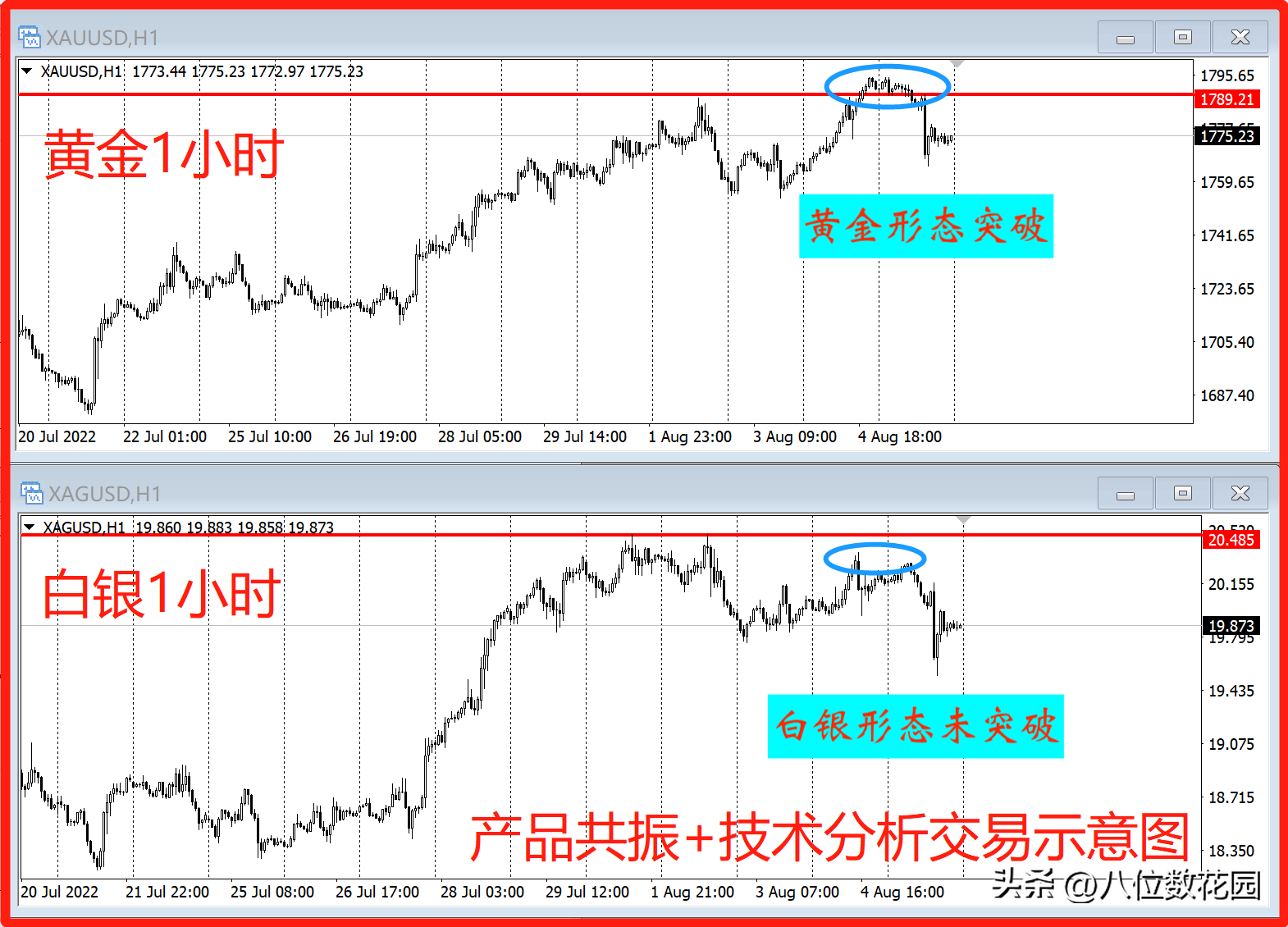 如何利用品种共振实现盈利?