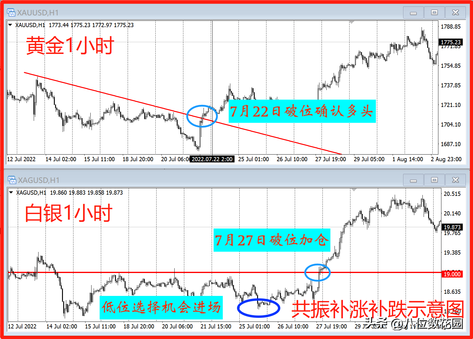 如何利用品种共振实现盈利?