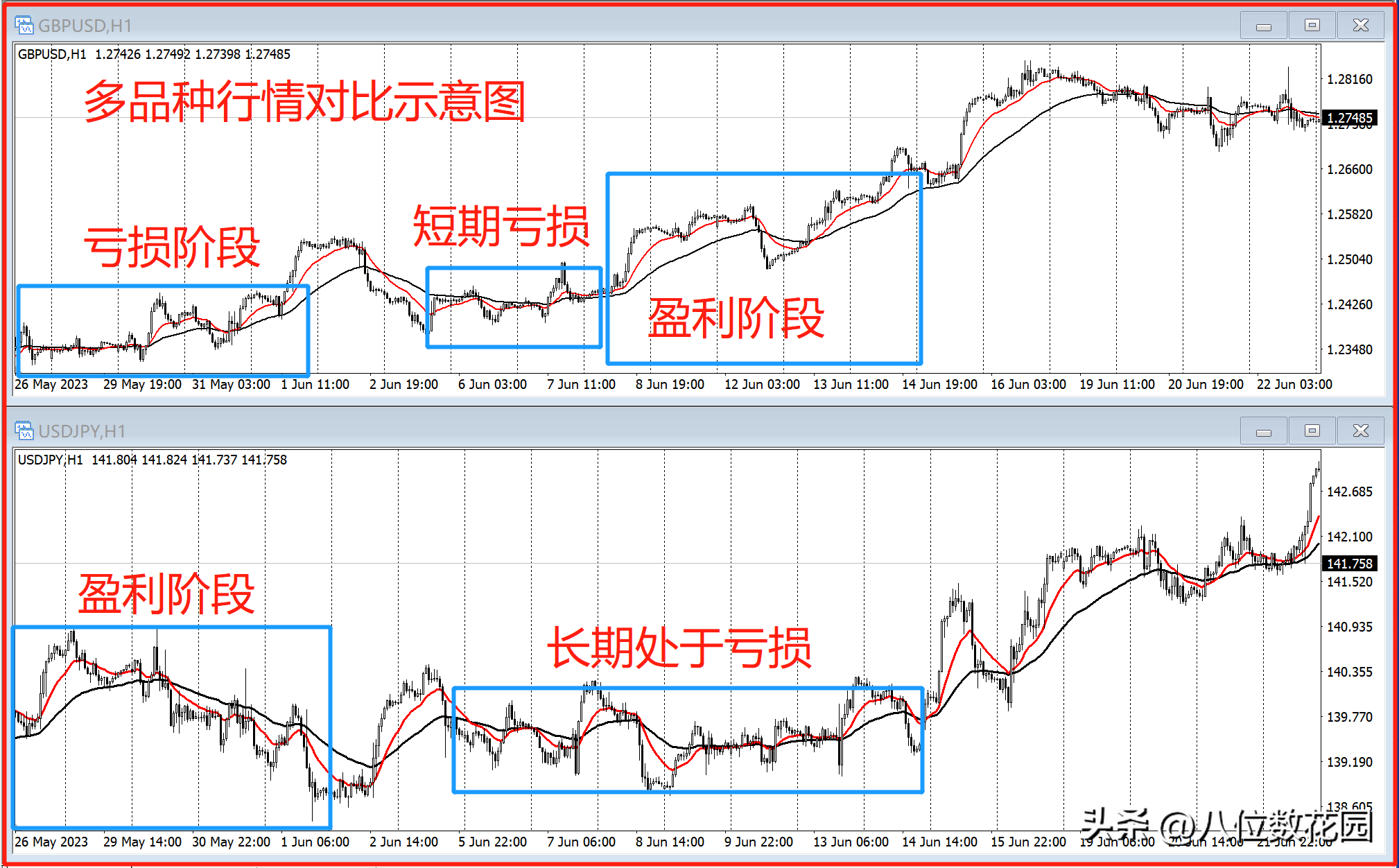 交易如何操作多品种?