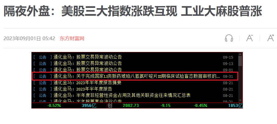 龙头股大涨给我们的启示