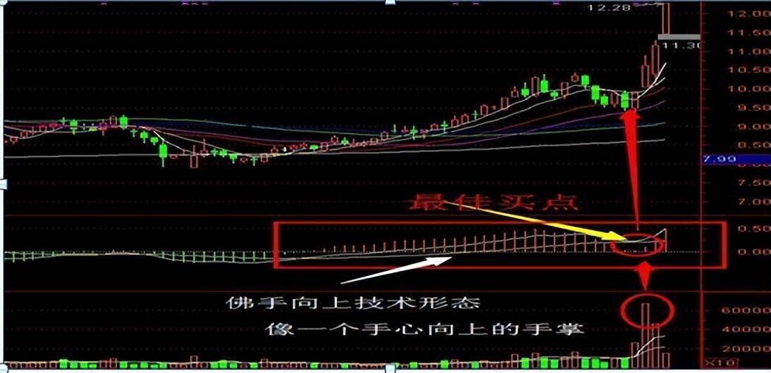 从10万本金疯炒到1000万?草根牛散的炒股笔记值得深读!