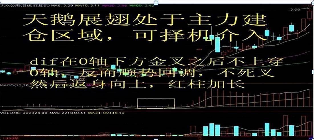 从10万本金疯炒到1000万?草根牛散的炒股笔记值得深读!