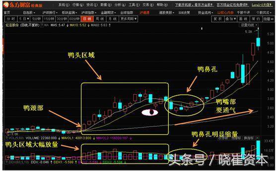高端技能均线选股公式汇总多头排列出水芙蓉均线粘合