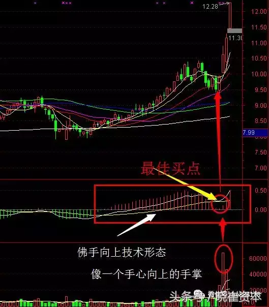 干货MACD八大技术形态讲解及选股公式讲解