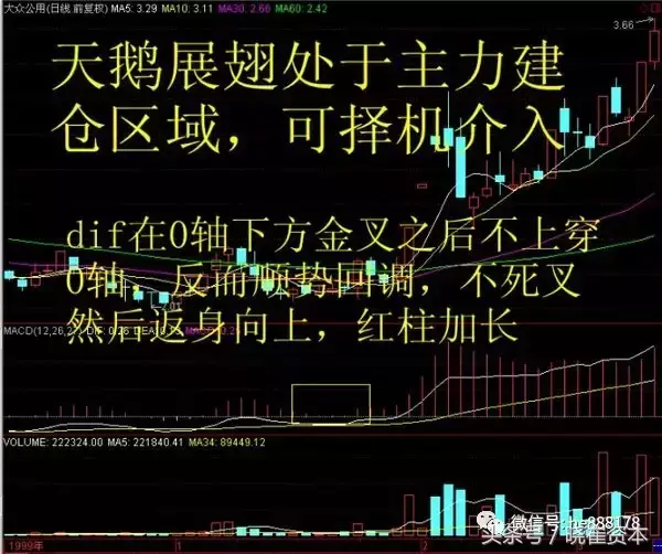 干货MACD八大技术形态讲解及选股公式讲解