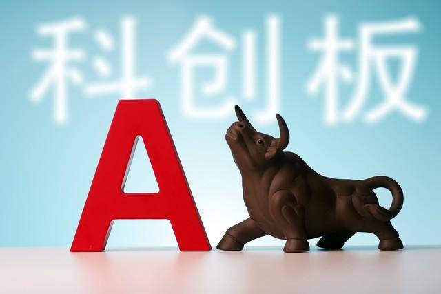 散户为什么总是亏钱?