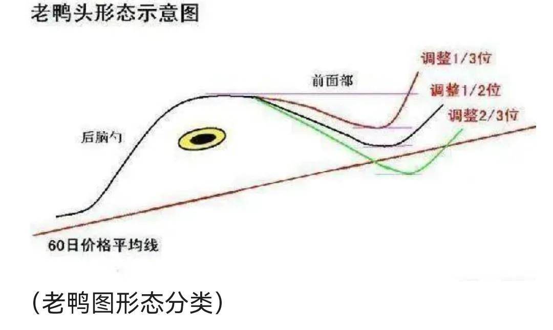 老鸭头技术形态也叫空中加油